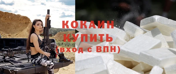 твердый Осинники