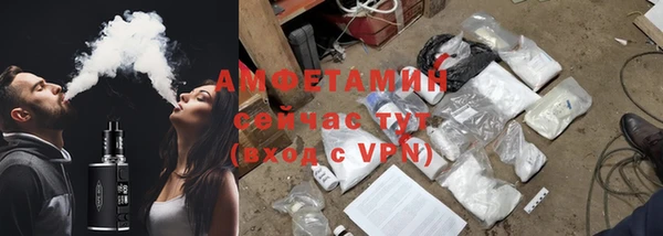 прущие грибы Осташков