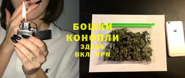 твердый Осинники