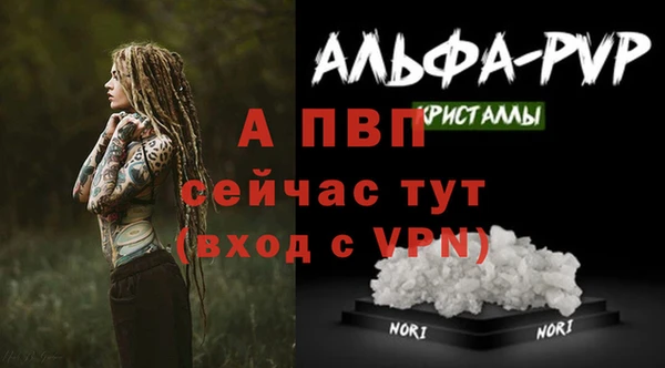 прущие грибы Осташков