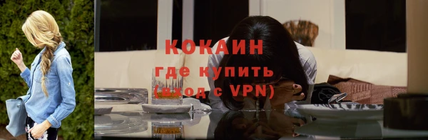 прущие грибы Осташков
