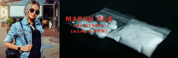 прущие грибы Осташков