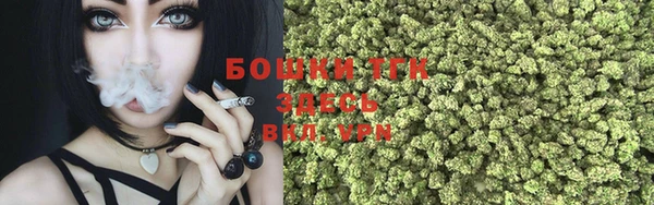 твердый Осинники