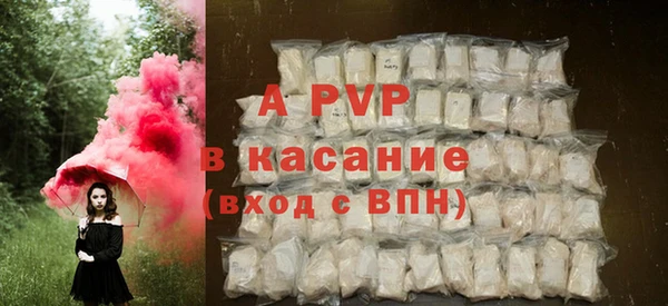 твердый Осинники