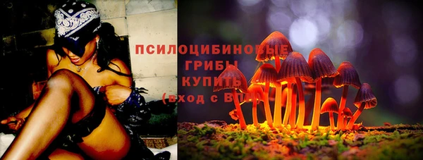 твердый Осинники