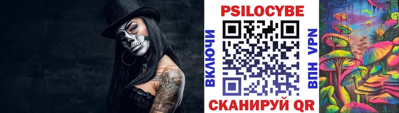 Галлюциногенные грибы Psilocybine cubensis  как найти закладки  Салехард 